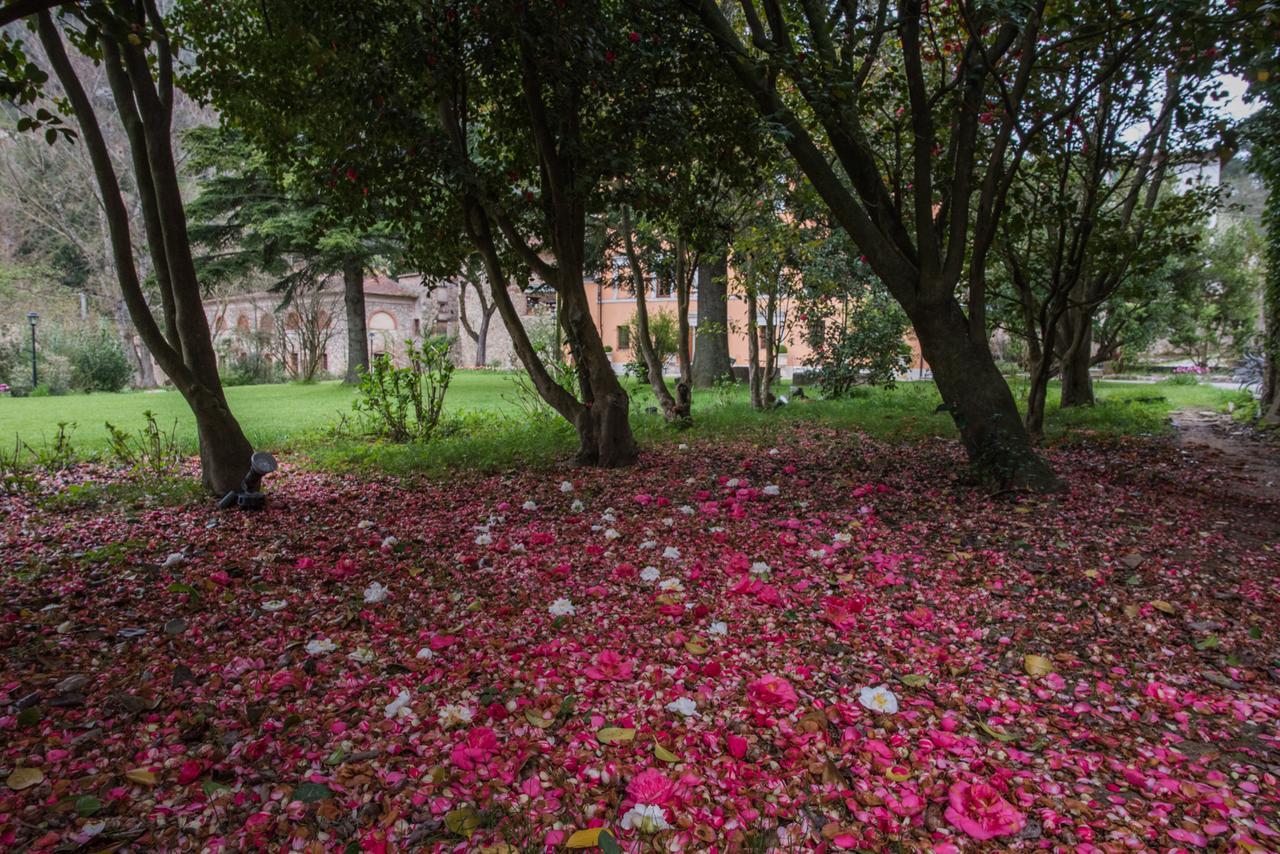 Relais Corte Rodeschi Camaiore Kültér fotó