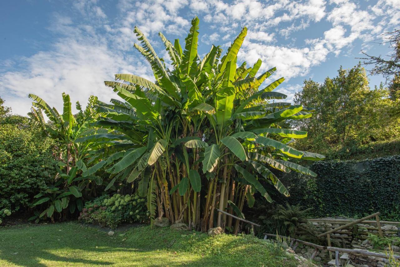 Relais Corte Rodeschi Camaiore Kültér fotó