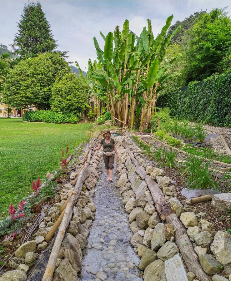 Relais Corte Rodeschi Camaiore Kültér fotó